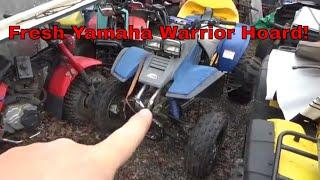 Bought a Hoard of Yamaha Warrior 350 Parts!