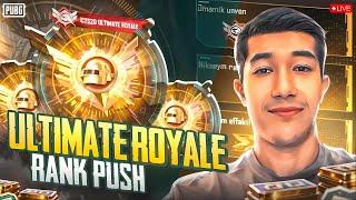 ZAVA UCHUN RANK UP VA ULTIMATE ROYALDA RANK KO'TARAMIZ UZBEK SILA  - PUBG MOBILE...