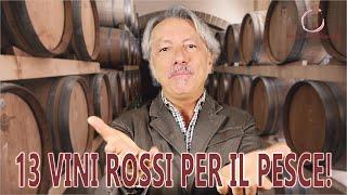 13 VINI ROSSI PER IL PESCE!