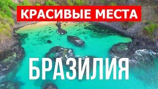 4к видео дикая природа в Бразилии | Море, пляж, пейзажи | Бразилия красивые места | Смотреть 360