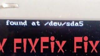 Fix Phoenix problem Found at Dev/sda5