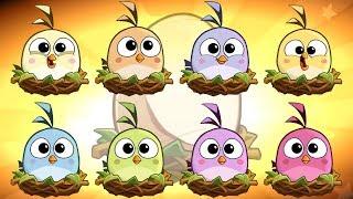 Angry Birds 2 – Hatchling LEVEL 1 up to LEVEL 8