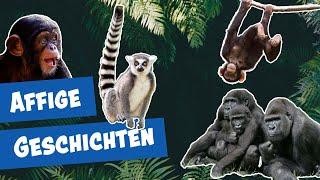 Neues von den Affen aus dem Zoo Berlin I Panda, Gorilla & Co.