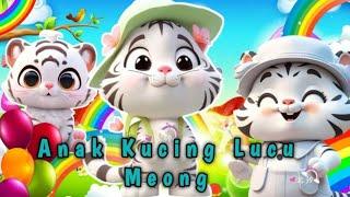 KOMPILASI LAGU ANAK INDONESIA - LAGU ANAK KUCING MEONG MEONG DAN LAGU ANAK LAINNYA POPULER 2024