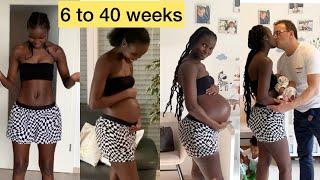 PREGNANCY  BELLY PROGRESSION! 6 WEEKS TO 40 WEEKS.