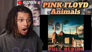 Pink Floyd Animals Full Album (FIRST TIME HEARING) Completely Fried!!