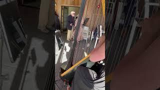 Harpist covers “Amber” by 311 #harp #music