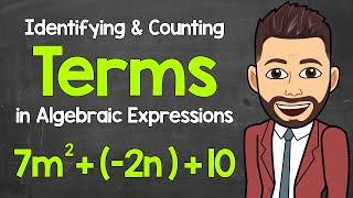 Identifying and Counting Terms in Algebraic Expressions | Math with Mr. J
