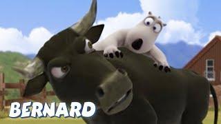 Bernard Bear | Bullfighter AND MORE | 30 min Compilation | Cartoons for Children