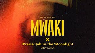 Zerb x YG Marley - Mwaki x Praise Jah in the Moonlight (Maiike Mashup)