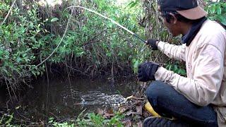 Hutan rawa yang jarang dijamah pemancing