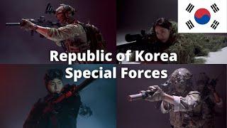 Republic of Korea Special Forces Explained