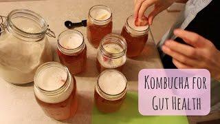 Kombucha 101 | Easy Kombucha Recipe