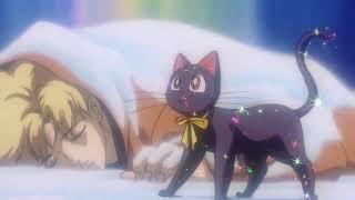 Превращение кошки Луны в человека. Сейлормун: Снежная принцесса Кагуя (1994)
