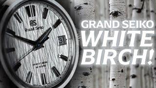 Hands on review of the 2021 Grand Seiko Hi-Beat Series 9 SLGH005 White Birch