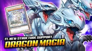 THE $550 BLUE-EYES CARD "PURE" BLUE-EYES DRAGON MAGIA Deck (ft. NEW Structure Deck support!)