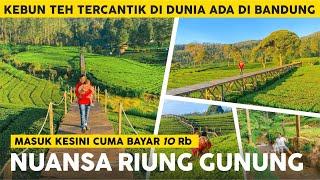 INFO WISATA NUANSA RIUNG GUNUNG TERBARU 2022, KEBUN TEH VIRAL DI PANGALENGAN | Harga Tiket Masuk