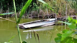 Boat forgotten