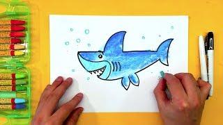 АКУЛА учимся рисовать с детьми / Урок рисования от РыбаКит