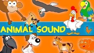 Animals Sounds | Sounds of the Animals Song | Learn Animal and Sounds of Animals