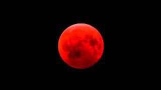 Lunar Eclipse 2011  Amazing!  Next Lunar Eclipse Video Will turn moon BLOOD RED like this!!