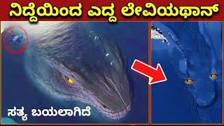 facts about the Leviathan sea monster