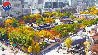 [4K]Colorful Autumn In Seoul Korea｜Afternoon Walk the beautiful autumn leaves of Deoksugung Palace