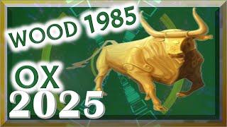  Ox Horoscope 2025 | Wood Ox 1985 | February 20, 1985 to February 8, 1986