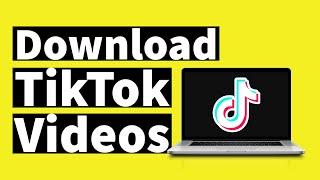 How to Download TikTok Videos on PC And laptop ( Without Watermark)