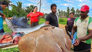 Amazing! Vibrant Beautiful Village Fish Market Live in Sri Lanka