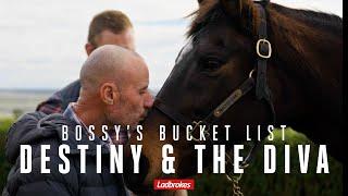 Bossy's Bucket List: Destiny & The Diva