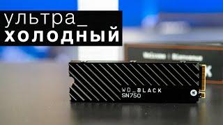 WD Black SN750 500GB. Прохладный и солидный NVMe SSD / Root Nation