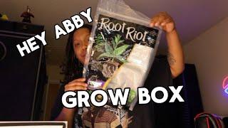 How to grow in the Hey Abby Grow Box