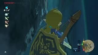 NPC kills link in the Legend of Zelda Breath of the Wild(Master Mode)