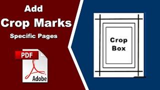 How to Add Crop Marks on Specific Pages in PDF with Adobe Acrobat Pro 2020