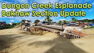 Iloilo City - Dungon Creek Esplanade - Bakhaw Section Update (01/07/2025)