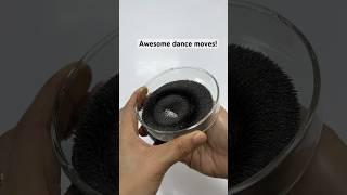 Awesome Science Experiment #experiment #scienceexperiment #magnet