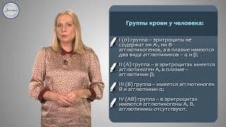 Биология 8 класс. Группы крови.  Резус фактор.  Переливание крови