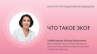 ЧТО ТАКОЕ ЭКО?