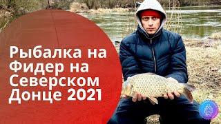 Рыбалка на фидер зимой на Северском Донце 2021