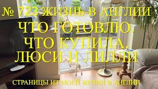 Что готовлю. Что купила. Про наших чихуахуа Люси и Лилли. № 723 Жизнь в Англии