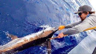 White Marlin Surprise! Plus Mahi and Tuna! Islamorada Summer Time Fishing