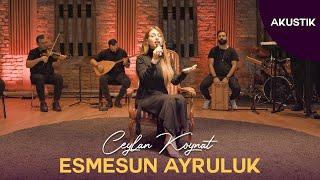 Ceylan Koynat - Esmesun Ayruluk (Cover)