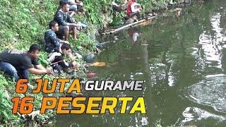 PANTANG KEJEBUR DARIPADA MUNDUR !! Gaskeun Borongan kolam 120 Gurame diborong 16 Pemancing