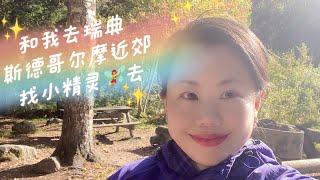 和我去瑞典斯德哥尔摩近郊森林里找小精灵去！let’s find some little sprites in the woods In Stockholm suburb #灵性 #小精灵