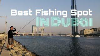 Best Free BASIC Fishing Spot in Dubai Casting Rod and Reels