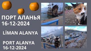 ALANYA ПОРТ ПРОГУЛКА 16 ДЕКАБРЯ 2024 ROMKA ROKER