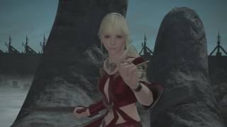 FINAL FANTASY XIV: STORMBLOOD - Lyse vs Warrior of Light