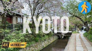 The Philospher's Path in Kyoto - Japan 4K Virtual Walk
