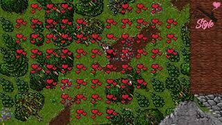 25th Anniversary Tibia - fireworks effects